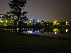 -宝安西湾红树林湿地公园