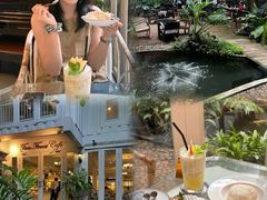 -Fern Forest Cafe