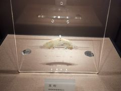 -荆州博物馆