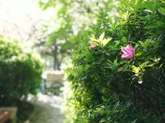 -荆川公园