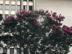 -云南师范大学(一二一西南联大校区)