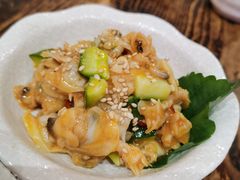 青瓜拌蛤蜊-小川洋风料理(街道口店)