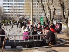 -西清公园