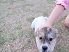 -海堤纪念公园