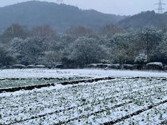 -八卦田遗址公园
