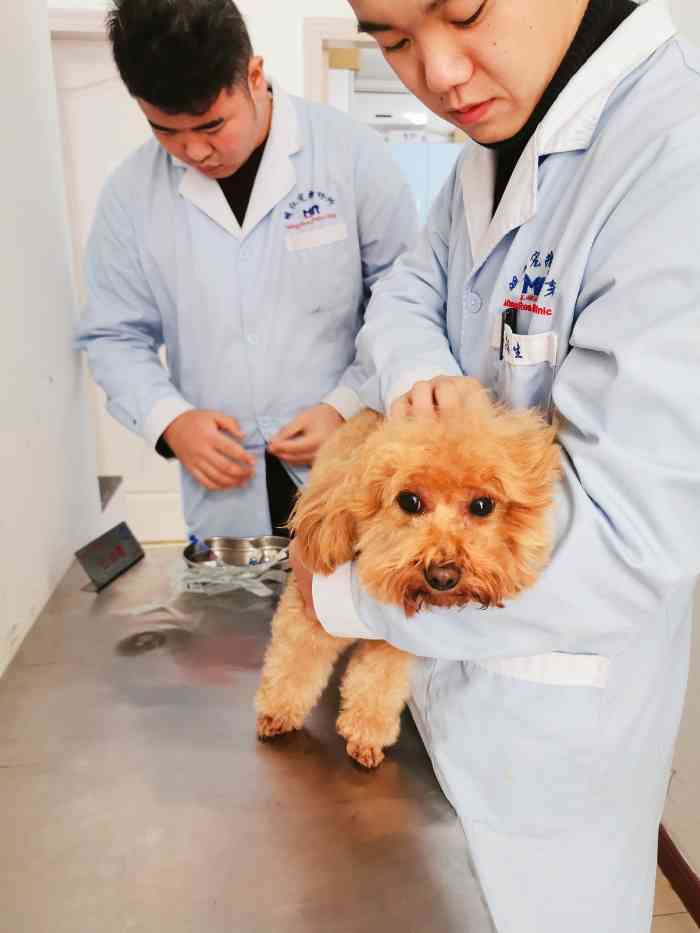 往年都是打卫佳捌和瑞