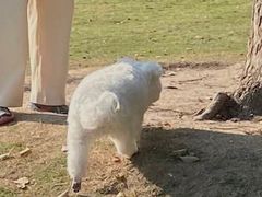 -杭州城北体育公园