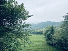 -敬亭山风景名胜区