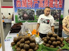 -中国农业博物馆