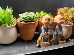 -懒人盐府人家(航天桥店)