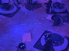 -暹罗海洋世界