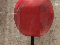 -深圳湾万象城(南山店)