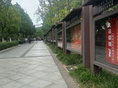 -合肥野生动物园