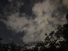 -广州雕塑公园