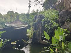 -广州市白云山风景名胜区