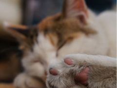 iphone_upload_pic-Sirena海妖日咖夜酒