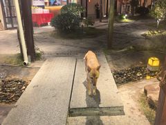 -湘力力小院·鱼汤泡饭(枫林路店)