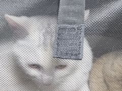 -北京观赏动物医院·24小时大型综合·猫专科·异宠专科