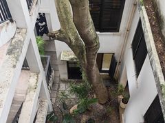 -墨池公园