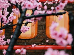 -回龙窝历史文化街区