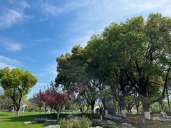 -玄武湖景区-情侣园游乐场