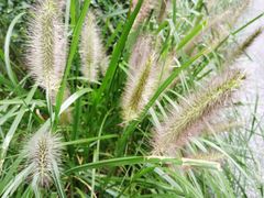 -长辛店二七公园