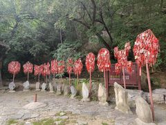 -八大处公园