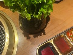 -MIKOMIKO和牛烧肉专门店(南门店)