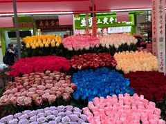 -越秀西湖花市(广州城市广场花卉店)