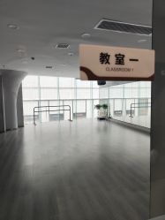 -单色舞蹈