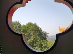 -深圳仙湖植物园