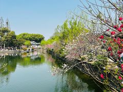 -无锡蠡湖国家湿地公园-蠡园