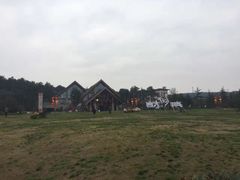 -铁山坪森林公园