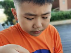 -瑰丽酒店·海吧·天际下午茶·现场DJ·天台酒吧