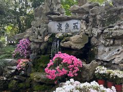 -上海醉白池公园