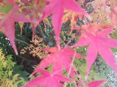 -荆川公园