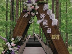 -黄海国家森林公园