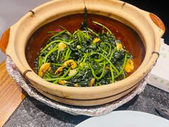 -鹅城粤菜馆(白云山路店)