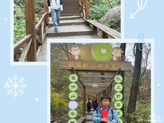 -大岭沟猕猴桃谷风景区