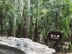 -龙达温泉生态城