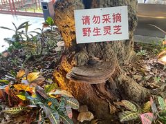 景观位-香山家宴