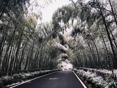 -天目湖御水温泉·度假酒店