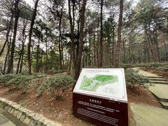 -铁山坪森林公园