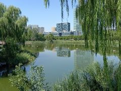 -大兴滨河森林公园