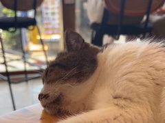 -LOOKA COFFEE(大鹏所城店)