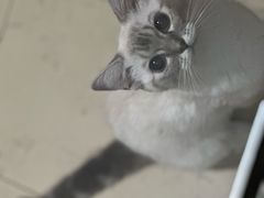 -宠福鑫康馨动物医院·骨科·眼科
