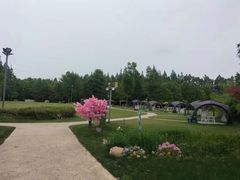 -上海长兴岛郊野公园