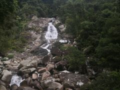 -海南热带雨林国家公园吊罗山景区