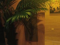 -怡泰SPA·泰疗按摩(徽宁路店)