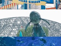 -海合安武汉极地海洋公园